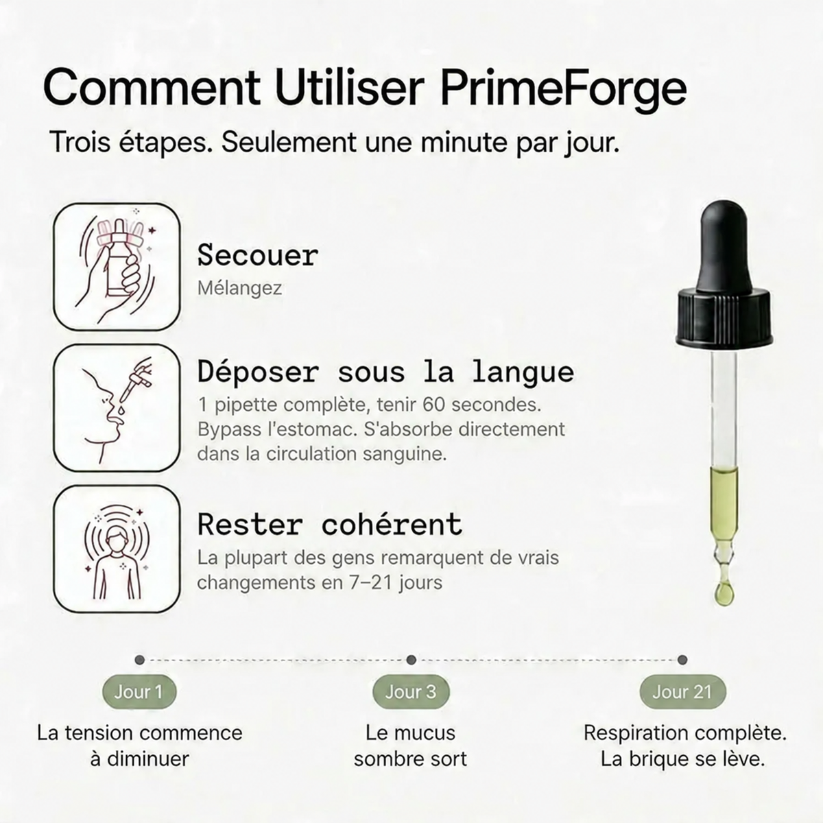 PrimeForge - Retrouve ton Souffle
