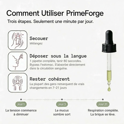 PrimeForge - Retrouve ton Souffle