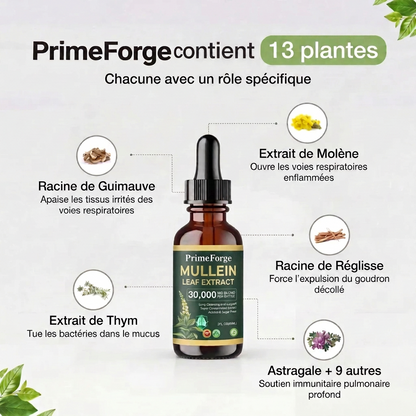 PrimeForge - Retrouve ton Souffle